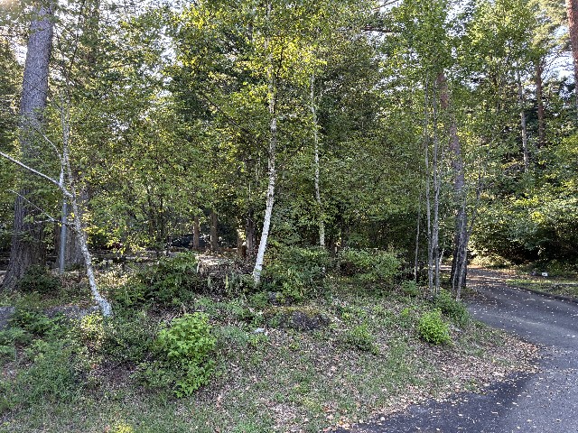 f:id:fishing-camp:20240908183918j:image f:id:fishing-camp:20240908183918j:image