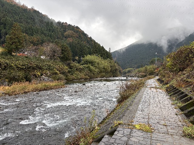f:id:fishing-camp:20241201214719j:image f:id:fishing-camp:20241201214719j:image