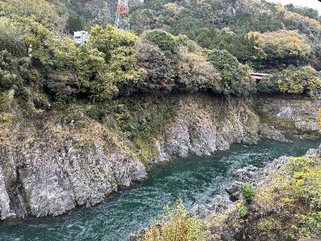 f:id:fishing-camp:20241202215951j:image f:id:fishing-camp:20241202215951j:image