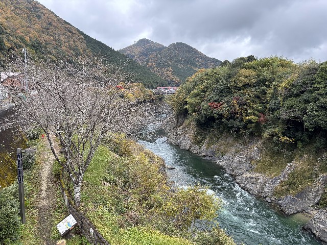 f:id:fishing-camp:20241202220008j:image f:id:fishing-camp:20241202220008j:image