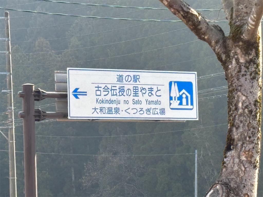 f:id:fishing-camp:20250324221142j:image f:id:fishing-camp:20250324221142j:image