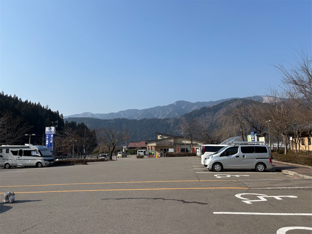 f:id:fishing-camp:20250324221931j:image f:id:fishing-camp:20250324221931j:image