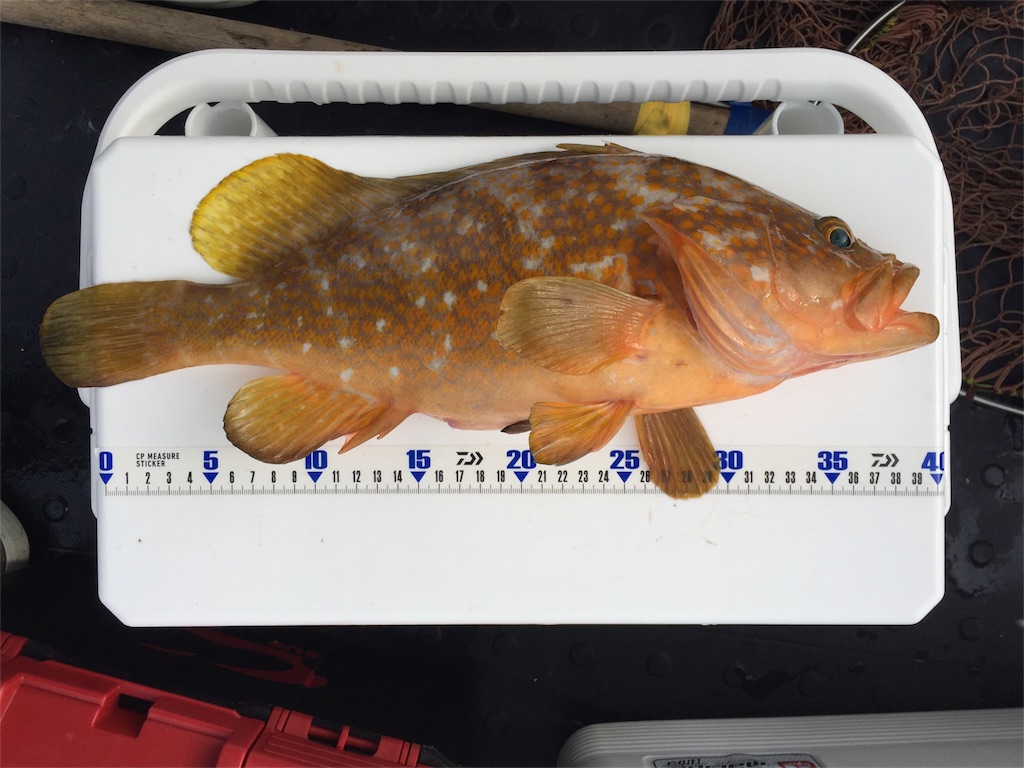 f:id:fishing-camping:20180925214044j:image f:id:fishing-camping:20180925214044j:image