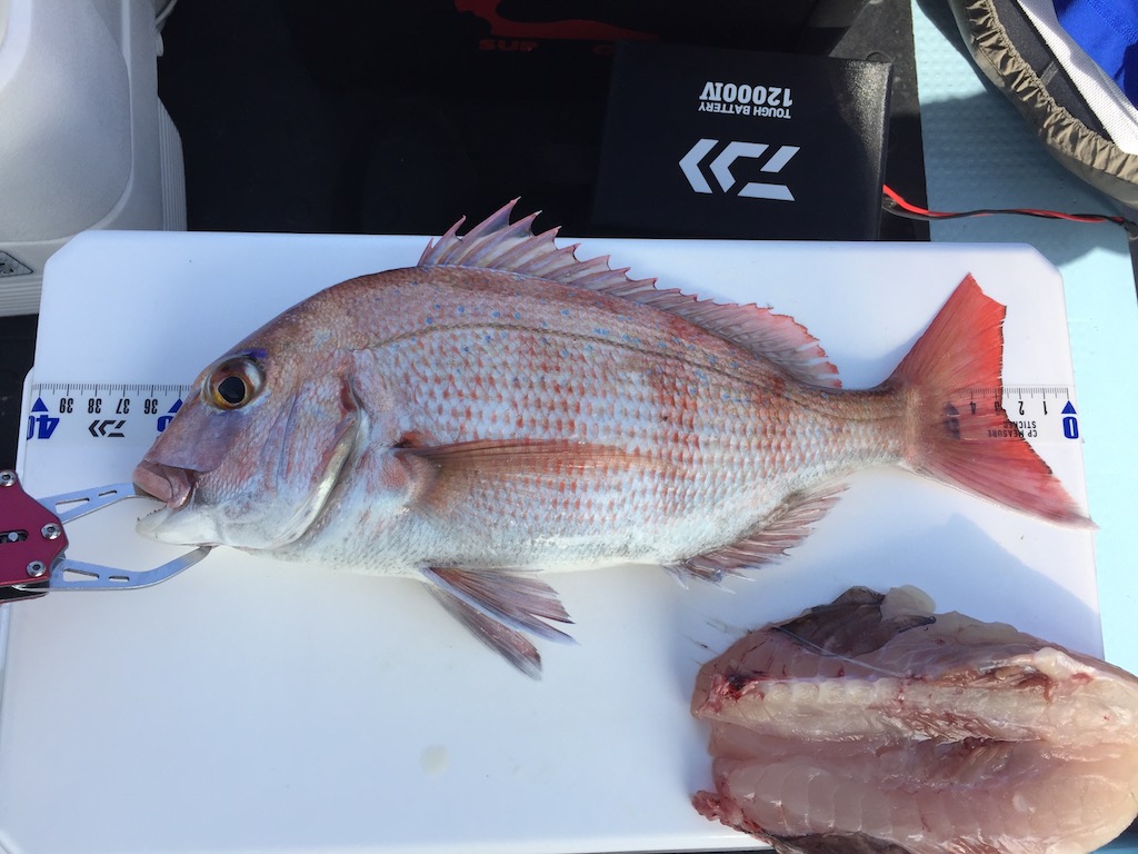 f:id:fishing-camping:20180925221013j:plain f:id:fishing-camping:20180925221013j:plain