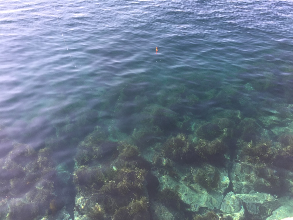 f:id:fishing-camping:20190302172742j:image f:id:fishing-camping:20190302172742j:image