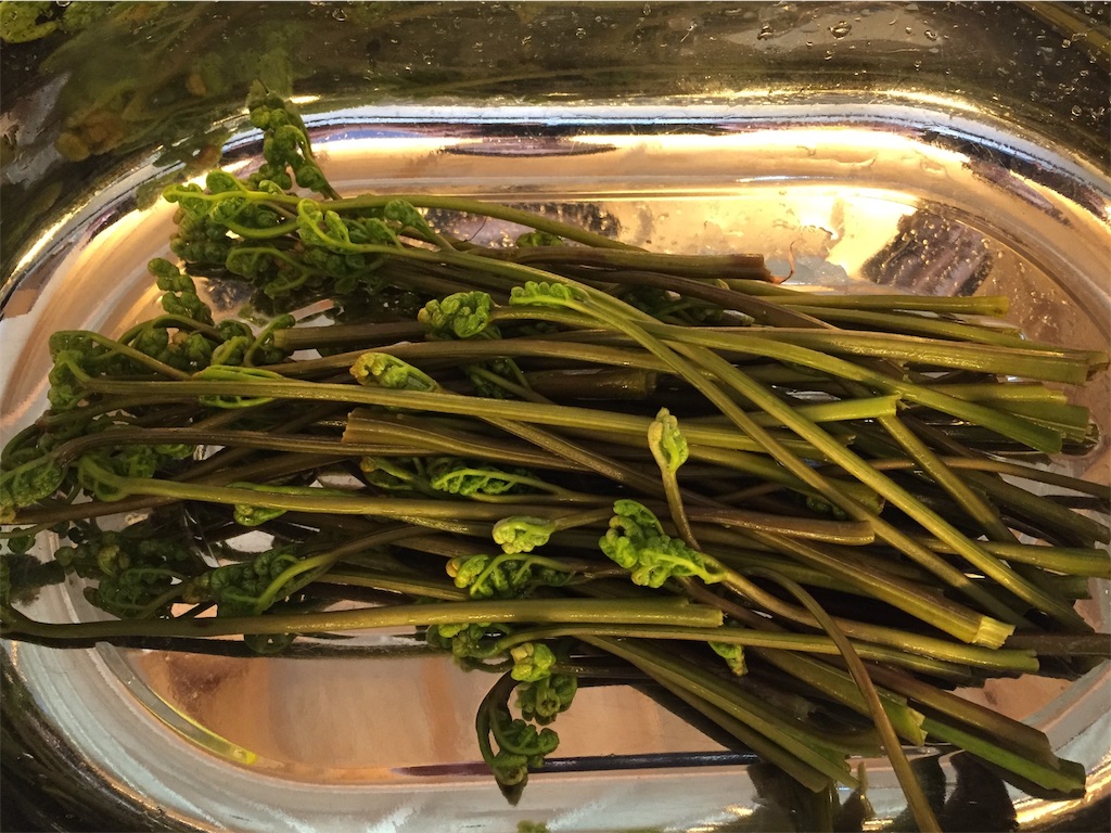 f:id:fishing-camping:20190710222133j:image f:id:fishing-camping:20190710222133j:image