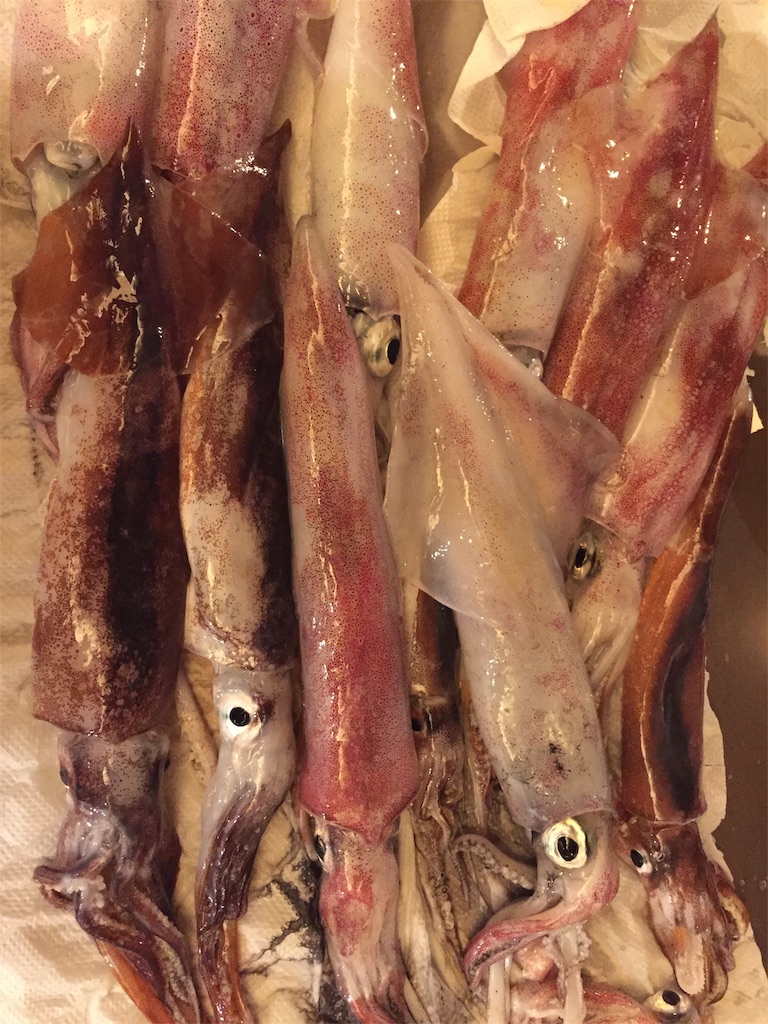 f:id:fishing-camping:20190727174054j:image f:id:fishing-camping:20190727174054j:image