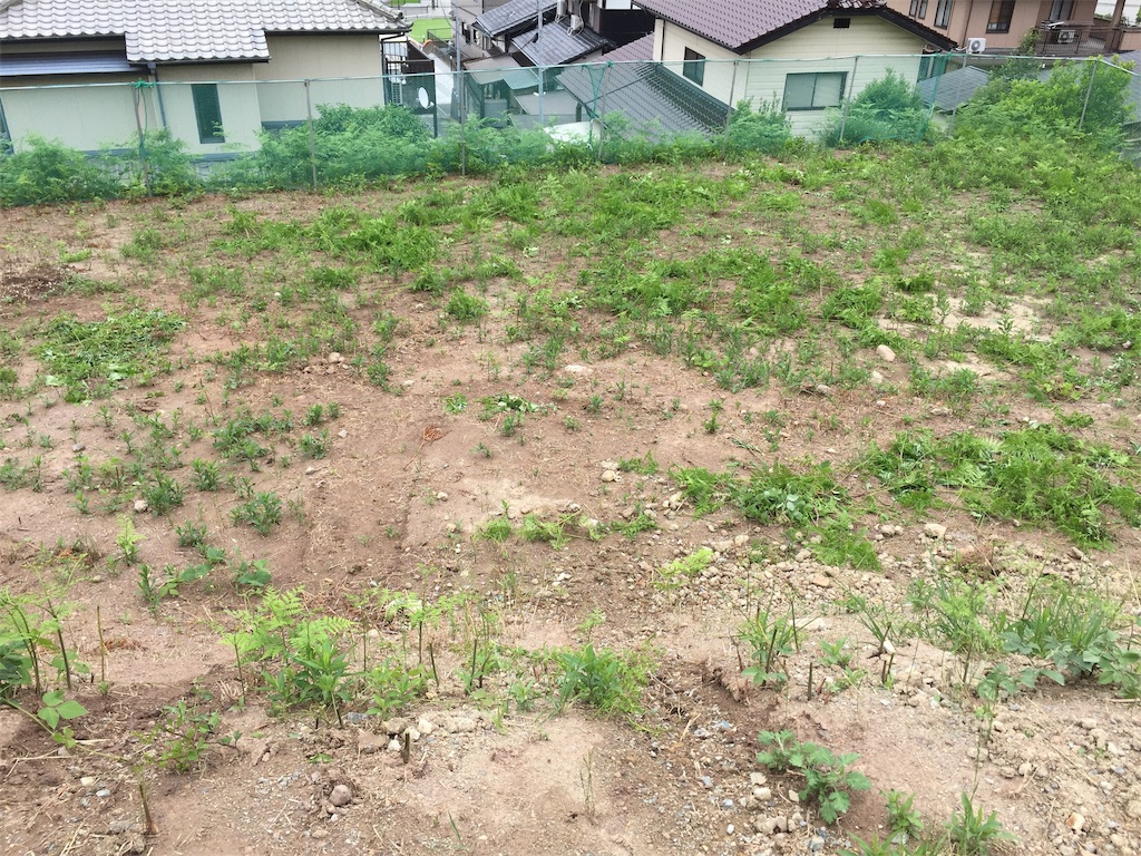 f:id:fishing-camping:20190727202005j:image