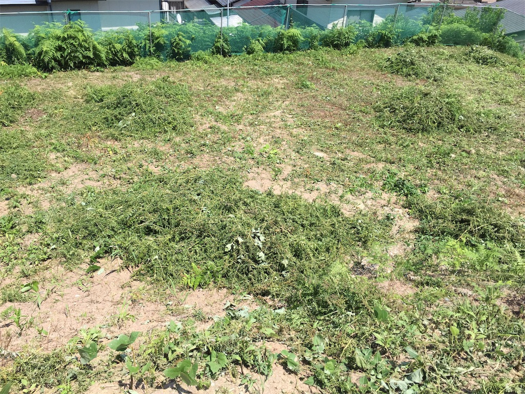 f:id:fishing-camping:20190727203743j:image