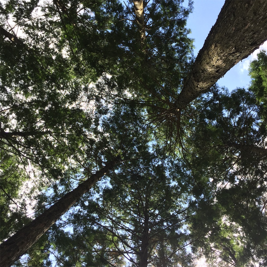 f:id:fishing-camping:20190917220919j:image