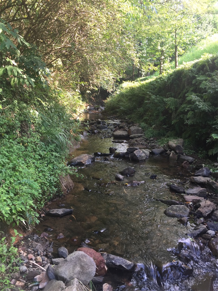 f:id:fishing-camping:20190917221935j:image