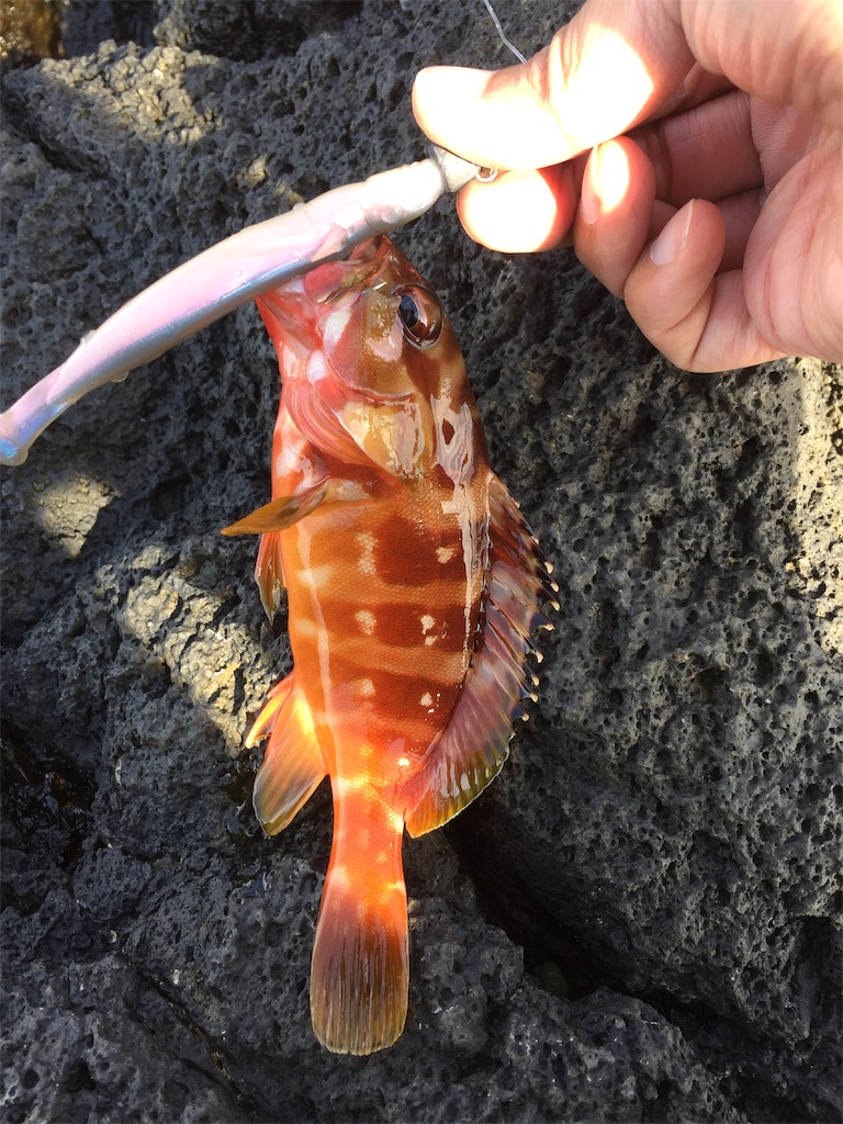 f:id:fishing-camping:20200919201149j:image