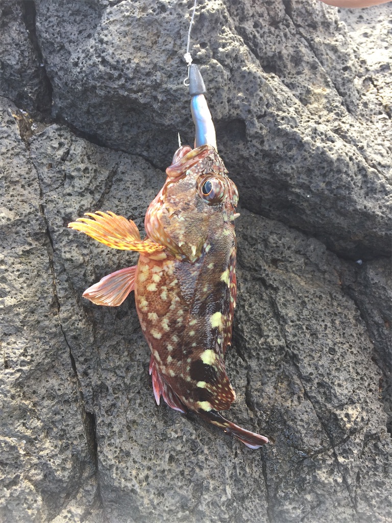 f:id:fishing-camping:20200919201159j:image