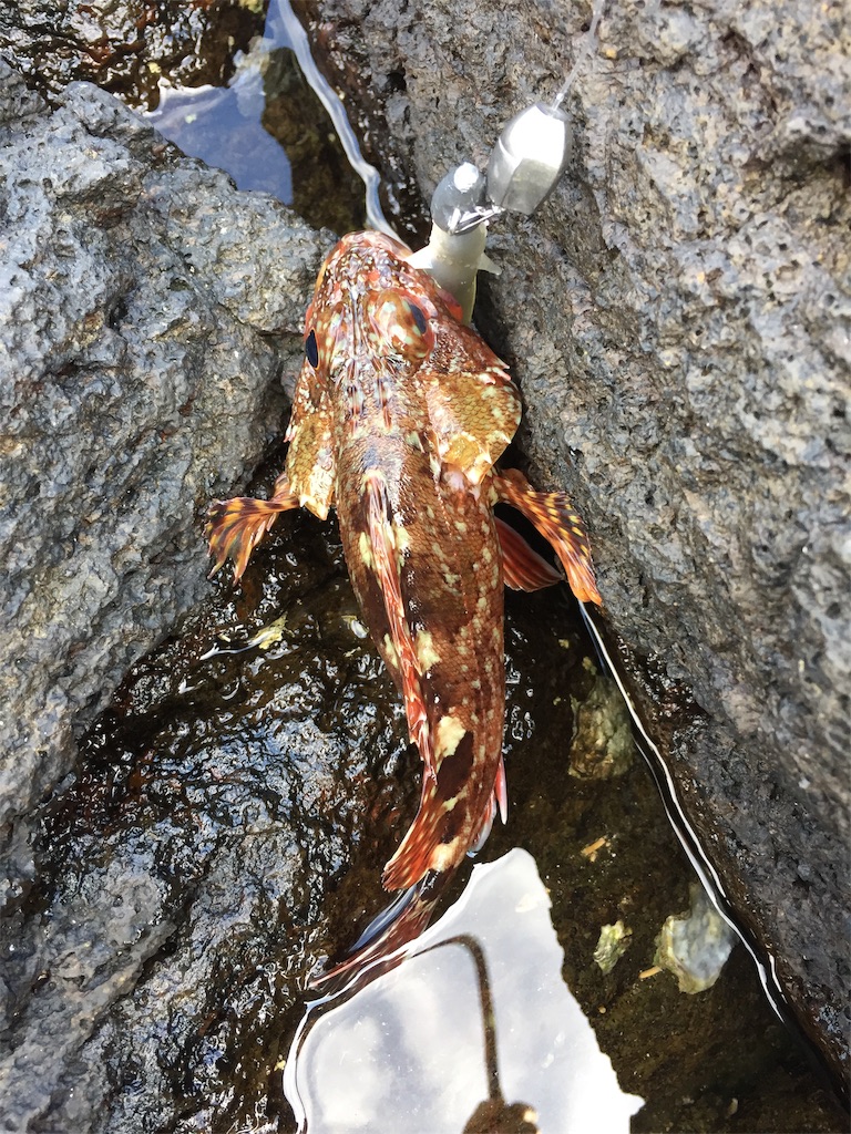 f:id:fishing-camping:20200919201213j:image