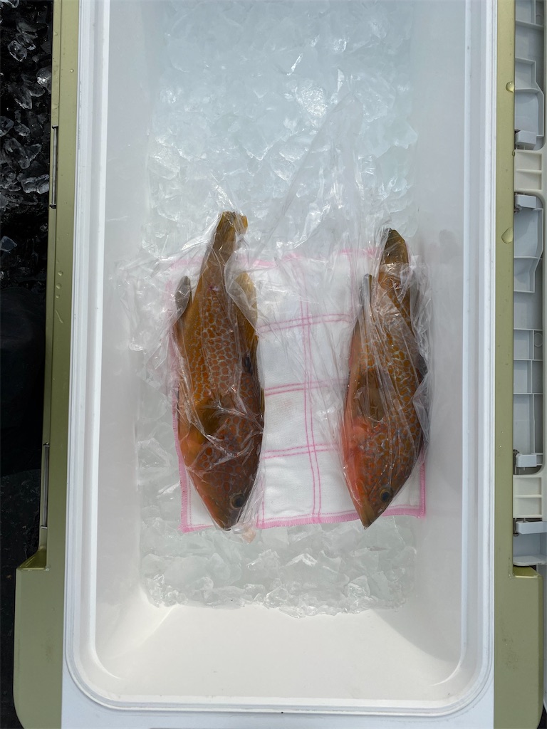 f:id:fishing-camping:20201228105809j:image f:id:fishing-camping:20201228105809j:image