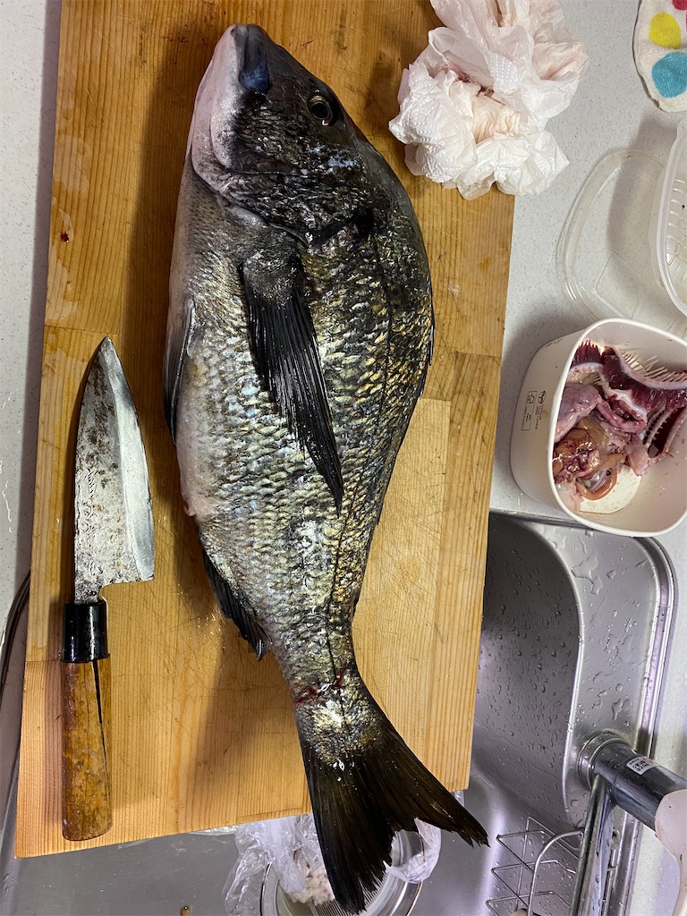 f:id:fishing-camping:20210601195556j:image