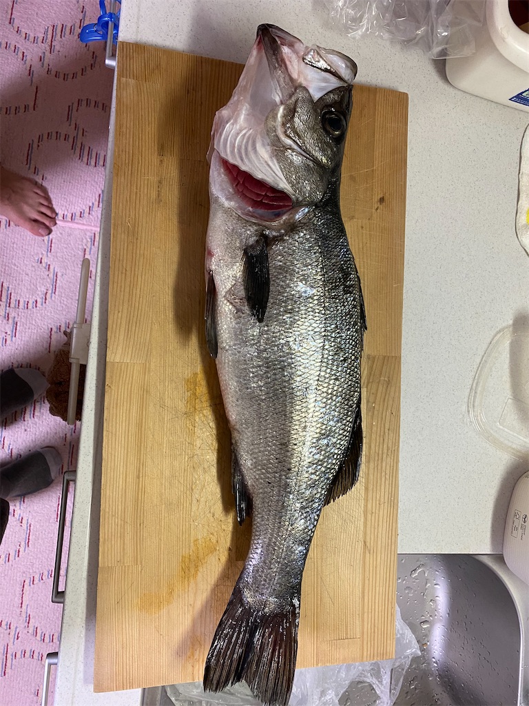 f:id:fishing-camping:20210601201027j:image