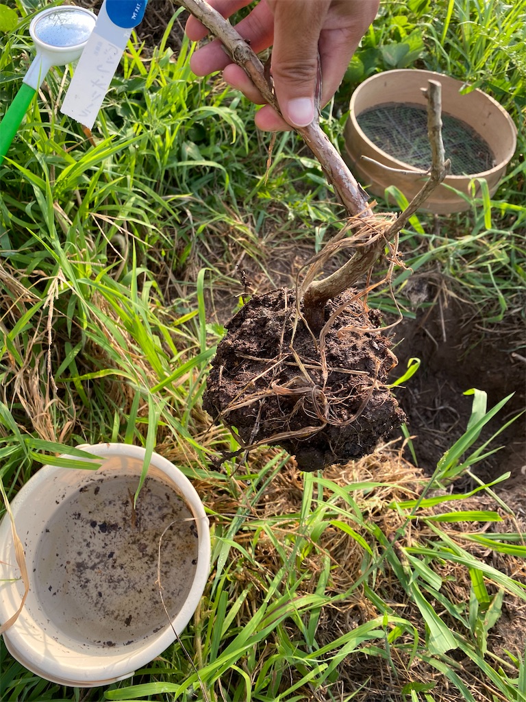 f:id:fishing-camping:20210731210603j:image f:id:fishing-camping:20210731210603j:image