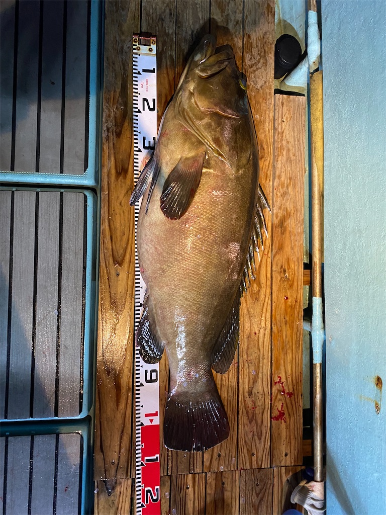 f:id:fishing-camping:20211109204634j:image