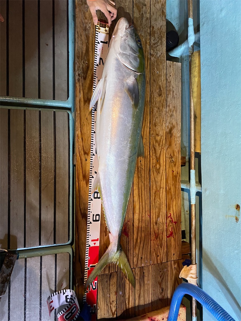 f:id:fishing-camping:20211109204640j:image