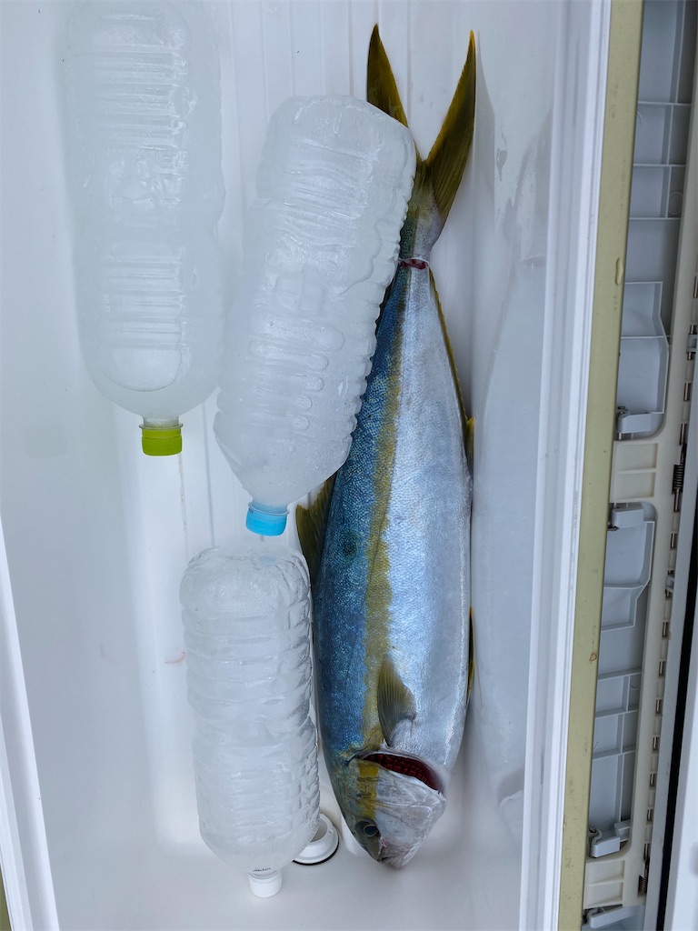 f:id:fishing-camping:20211228182412j:image