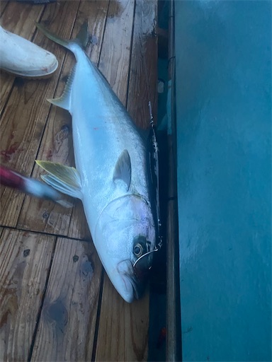 f:id:fishing-camping:20220125204714j:image