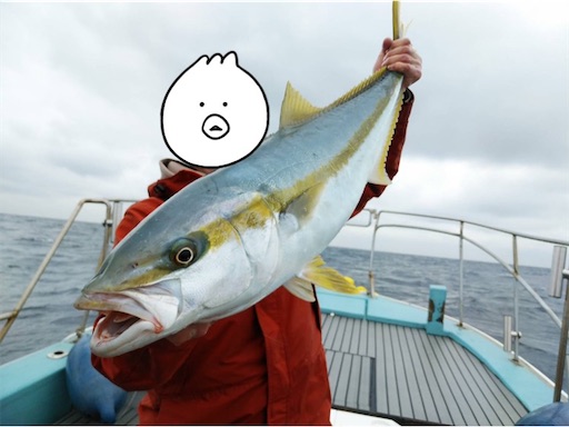 f:id:fishing-camping:20220125210408j:image