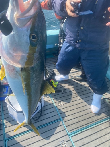 f:id:fishing-camping:20220226224408j:image f:id:fishing-camping:20220226224408j:image