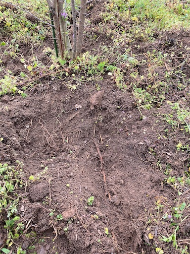 f:id:fishing-camping:20220319195052j:image