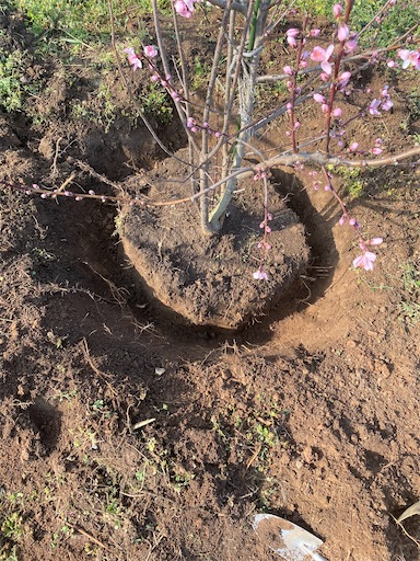 f:id:fishing-camping:20220319195055j:image