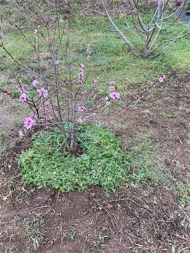 f:id:fishing-camping:20220319195057j:image