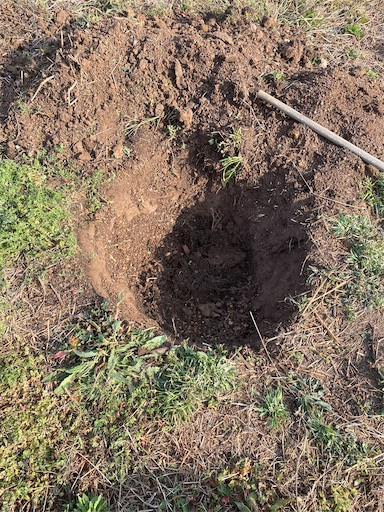 f:id:fishing-camping:20220319195105j:image