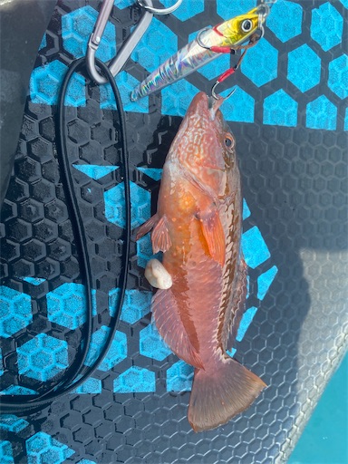 f:id:fishing-camping:20220704235416j:image f:id:fishing-camping:20220704235416j:image