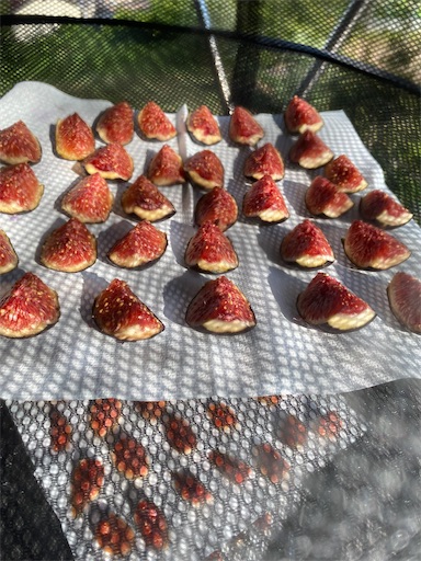 f:id:fishing-camping:20220806184420j:image f:id:fishing-camping:20220806184420j:image