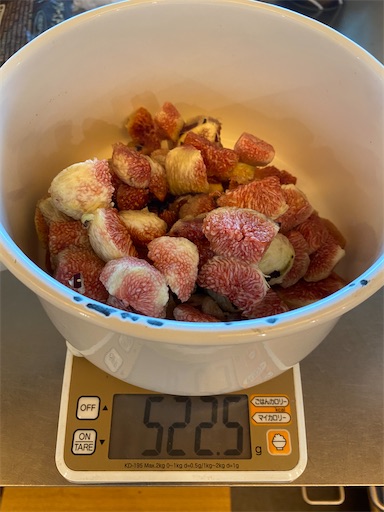 f:id:fishing-camping:20220806184423j:image f:id:fishing-camping:20220806184423j:image