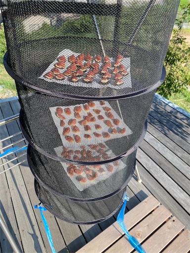 f:id:fishing-camping:20220806184429j:image f:id:fishing-camping:20220806184429j:image