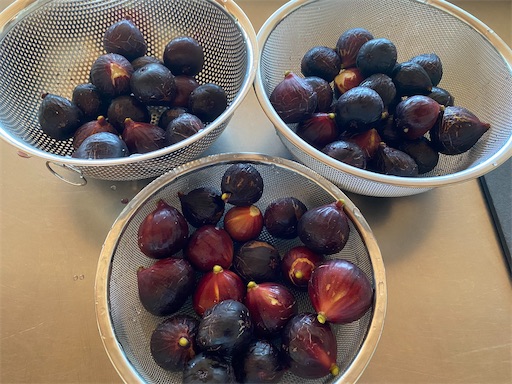 f:id:fishing-camping:20220806184431j:image f:id:fishing-camping:20220806184431j:image