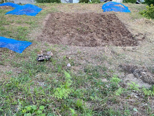 f:id:fishing-camping:20220911222157j:image