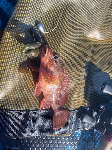 f:id:fishing-camping:20221001200725j:image f:id:fishing-camping:20221001200725j:image