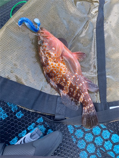 f:id:fishing-camping:20221001200748j:image f:id:fishing-camping:20221001200748j:image