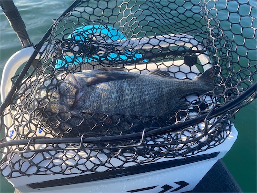 f:id:fishing-camping:20221002152515j:image f:id:fishing-camping:20221002152515j:image