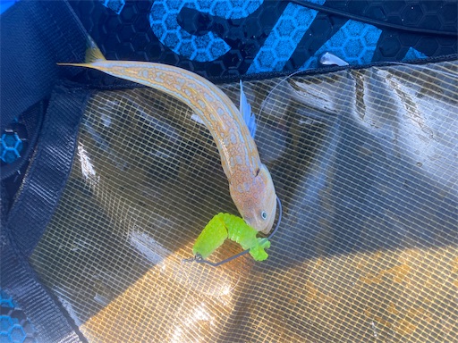 f:id:fishing-camping:20221103145059j:image