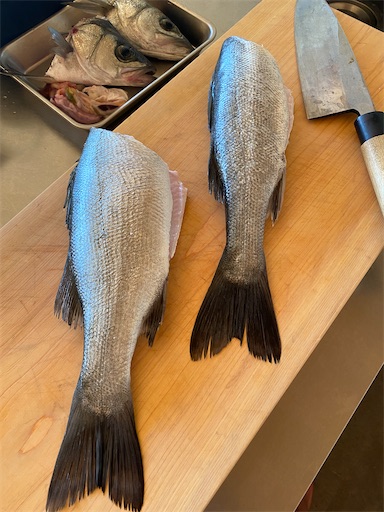 f:id:fishing-camping:20221103145118j:image