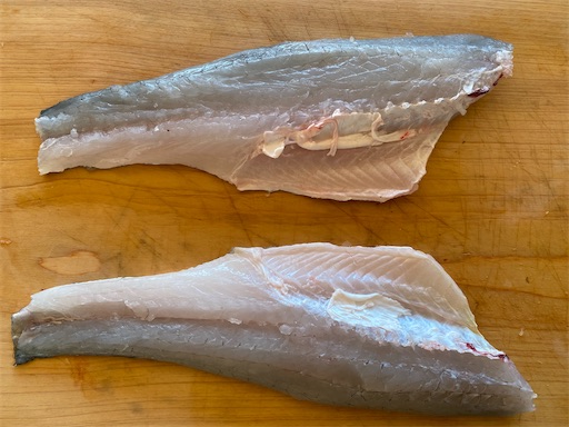 f:id:fishing-camping:20221103145139j:image