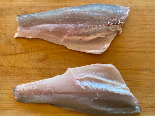 f:id:fishing-camping:20221103145142j:image