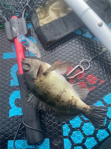 f:id:fishing-camping:20230521112642j:image