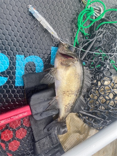 f:id:fishing-camping:20230521112653j:image