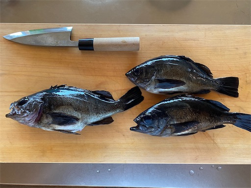 f:id:fishing-camping:20230521112724j:image