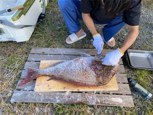 f:id:fishing-camping:20240523225059j:image f:id:fishing-camping:20240523225059j:image