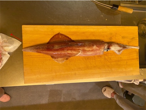 f:id:fishing-camping:20240523225132j:image f:id:fishing-camping:20240523225132j:image